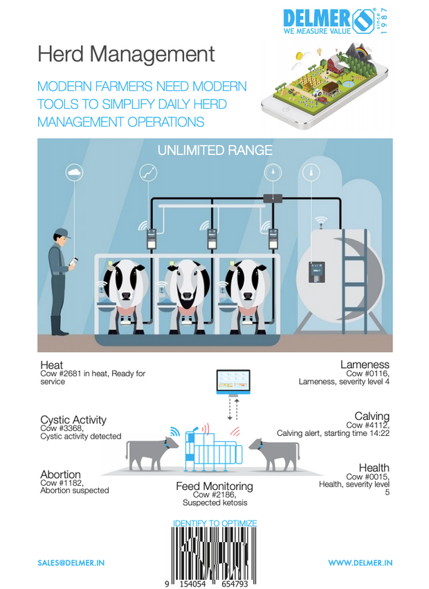 Efficient Herringbone Milking System for Large Herds