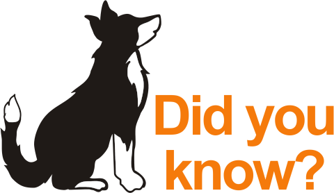 Canine Biologics Did You Know