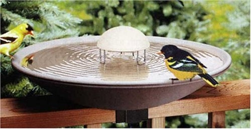 solar living bird bath