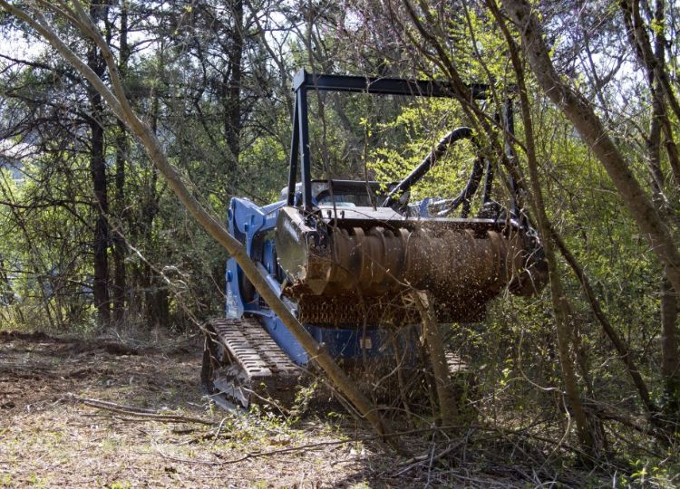 blue diamond drum mulcher eating through a couple trees