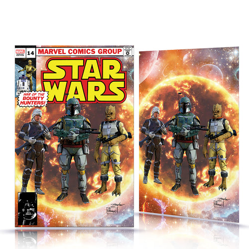 Star Wars #14 Mike Mayhew Cover Art – BlackFlagComics
