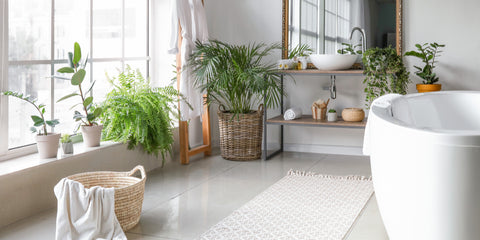 Bathroom spa with floor plants and soaking tub