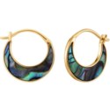 Gold Tidal Abalone Crescent Earrings