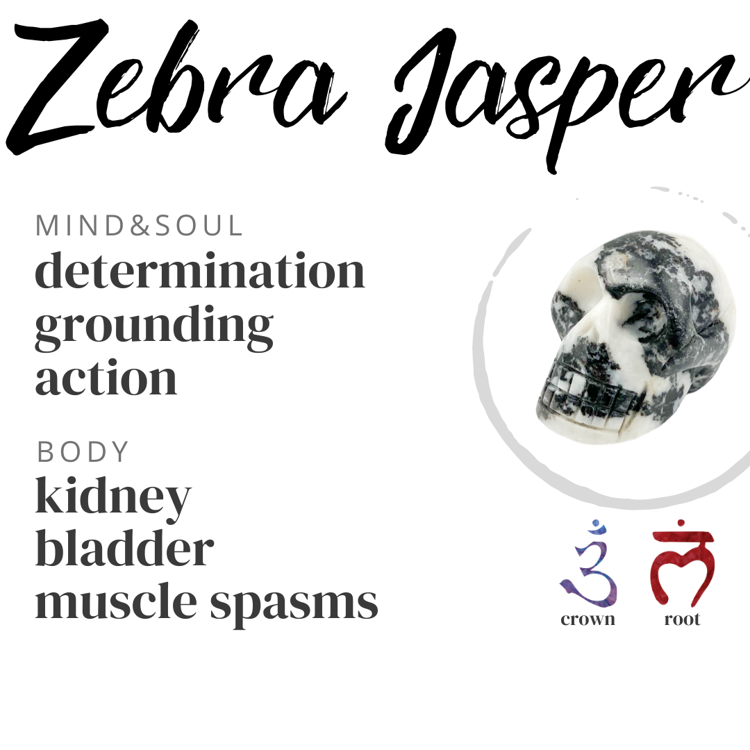 Zebra Jasper