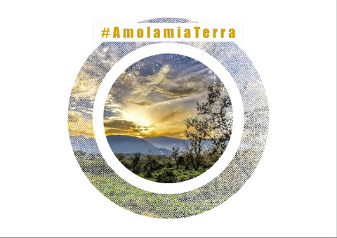 Lisa Tibaldi Terra Mia blog news #AmolamiaTerra eco-sustainability at the time of the coronavirus organic cotton filter masks made in Italy company conversion 