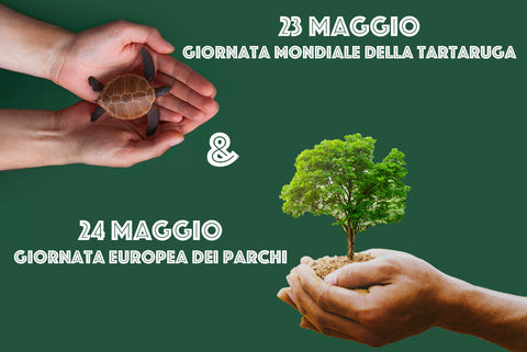 Lisa Tibaldi Terra Mia blog news notizie23 maggio giornata mondiale della tartaruga e 24 maggio giornata europea dei parchi