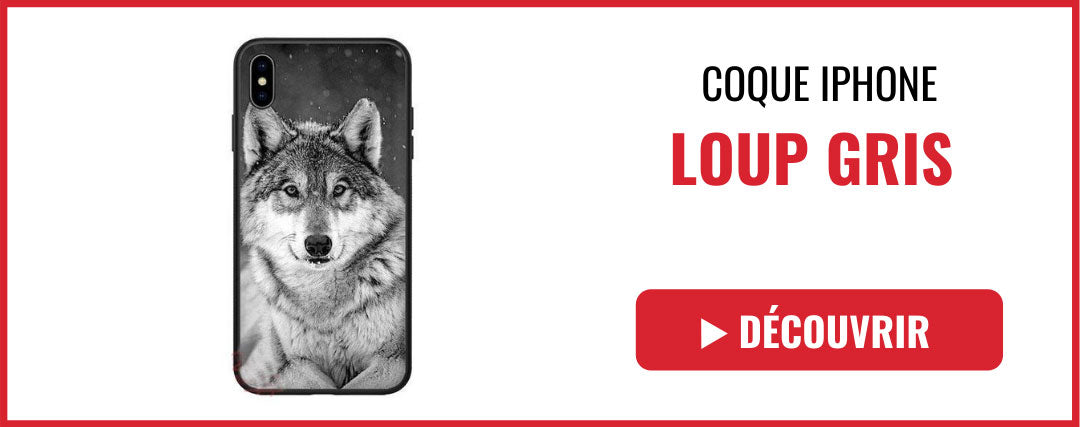 coque iphone loup gris