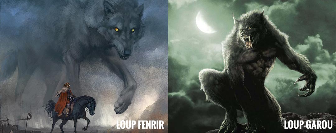 loup garou et loup fenrir