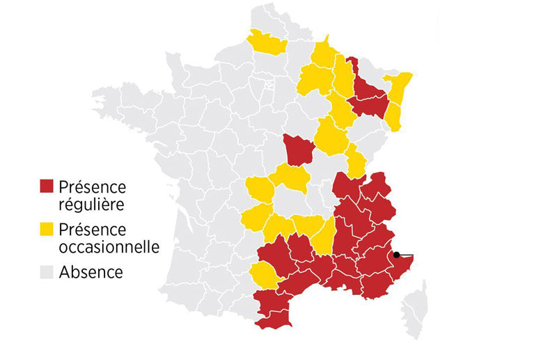 répartition géographique du loup en France