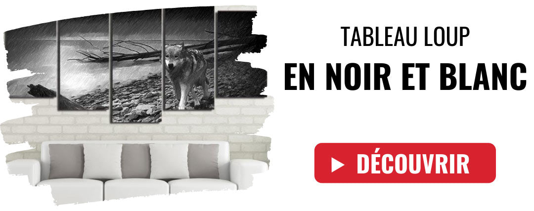 tableau loup en noir et blanc