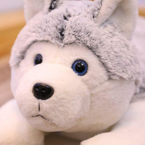 peluche loup geant