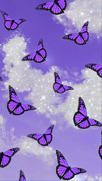 Butterfly iPhone Wallpaper