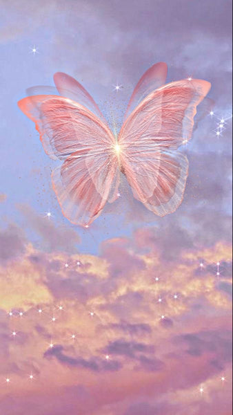 Pink Butterfly iPhone Wallpaper