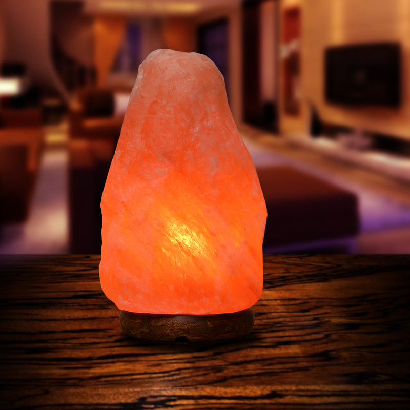 10 lb salt lamp