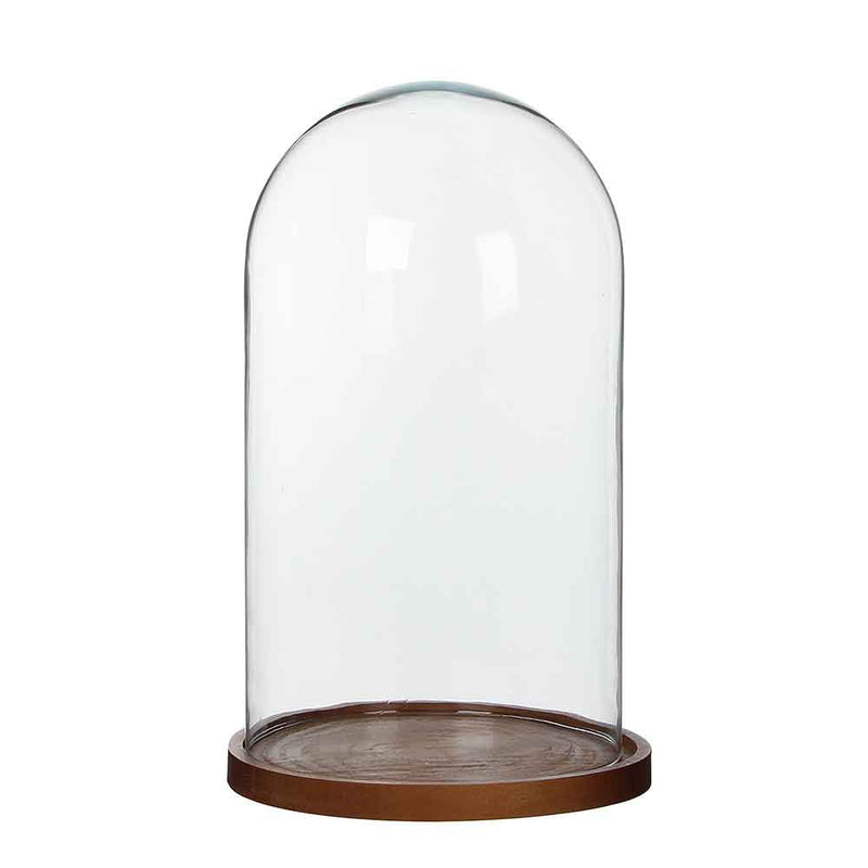zuiverheid maaien Vouwen Hella glazen stolp transparant op bord donkerbruin van Mica Decorations |  Sfeer voor jou