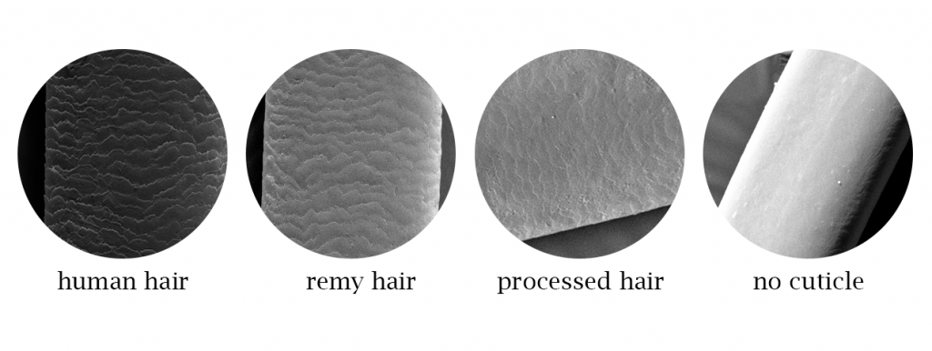 cuticle hair vs remy hair  vs processed hair vs non cuticle hair