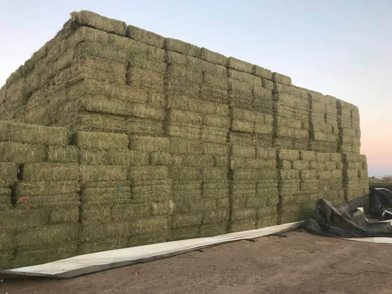 How Much is that Cheaper “Cow Hay” Really Costing You?