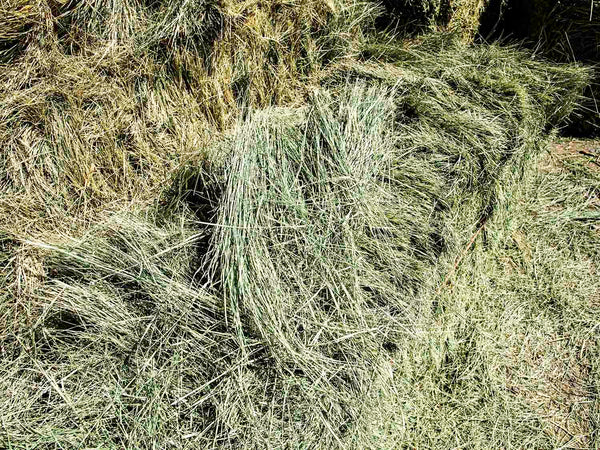 Bermuda Grass Hay For Sale | Conway Feed & Supply