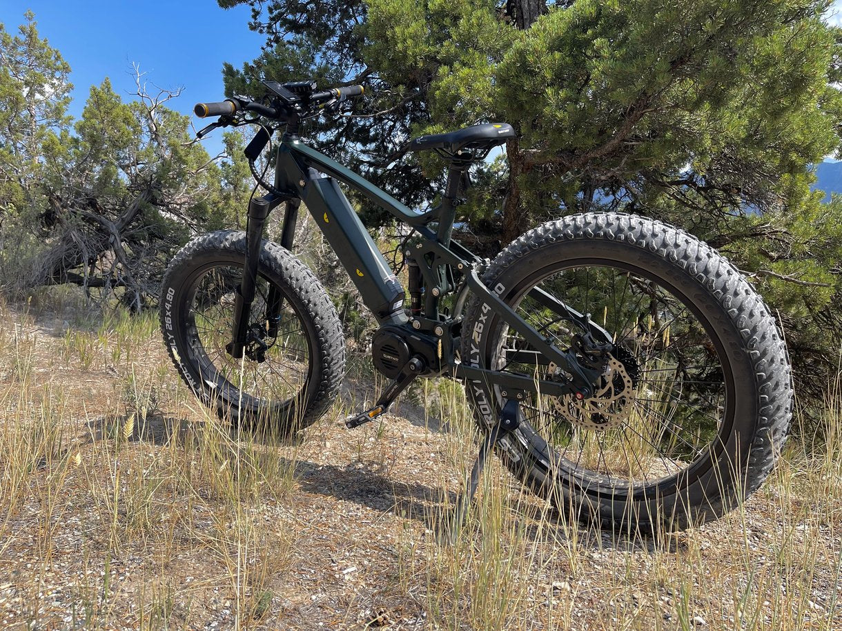 Challenger Fat Tyre 1,000W Electric Mid Drive Mountain Bike – Ampd Brothers  Electric