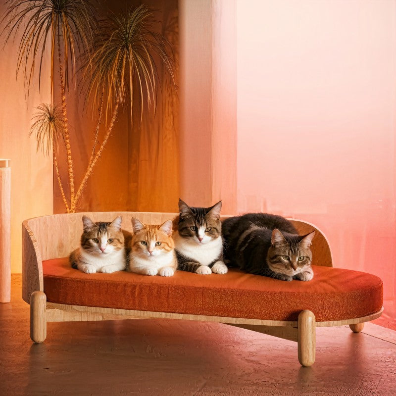 35.9'' Wooden Sunset Cat Couch for Multiple Cats - Stylish Lounge & Play-image-0