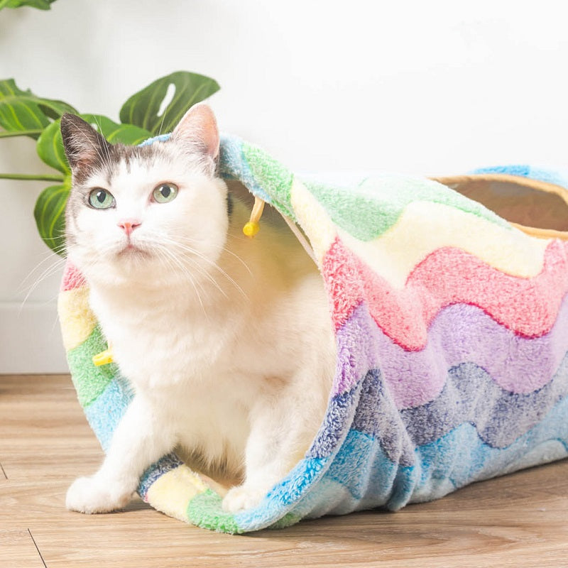Elves in the Rainbow Cat Tunnel – Happy & Polly