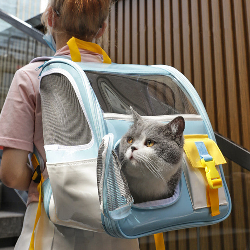 Cute Double Door Airbox Cat Carrier Blue | Happy & Polly | Rentro Pet Carrier for Cats & Small Dogs | 19.6'' x 12.2'' x 13.3