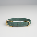 Moss Green
