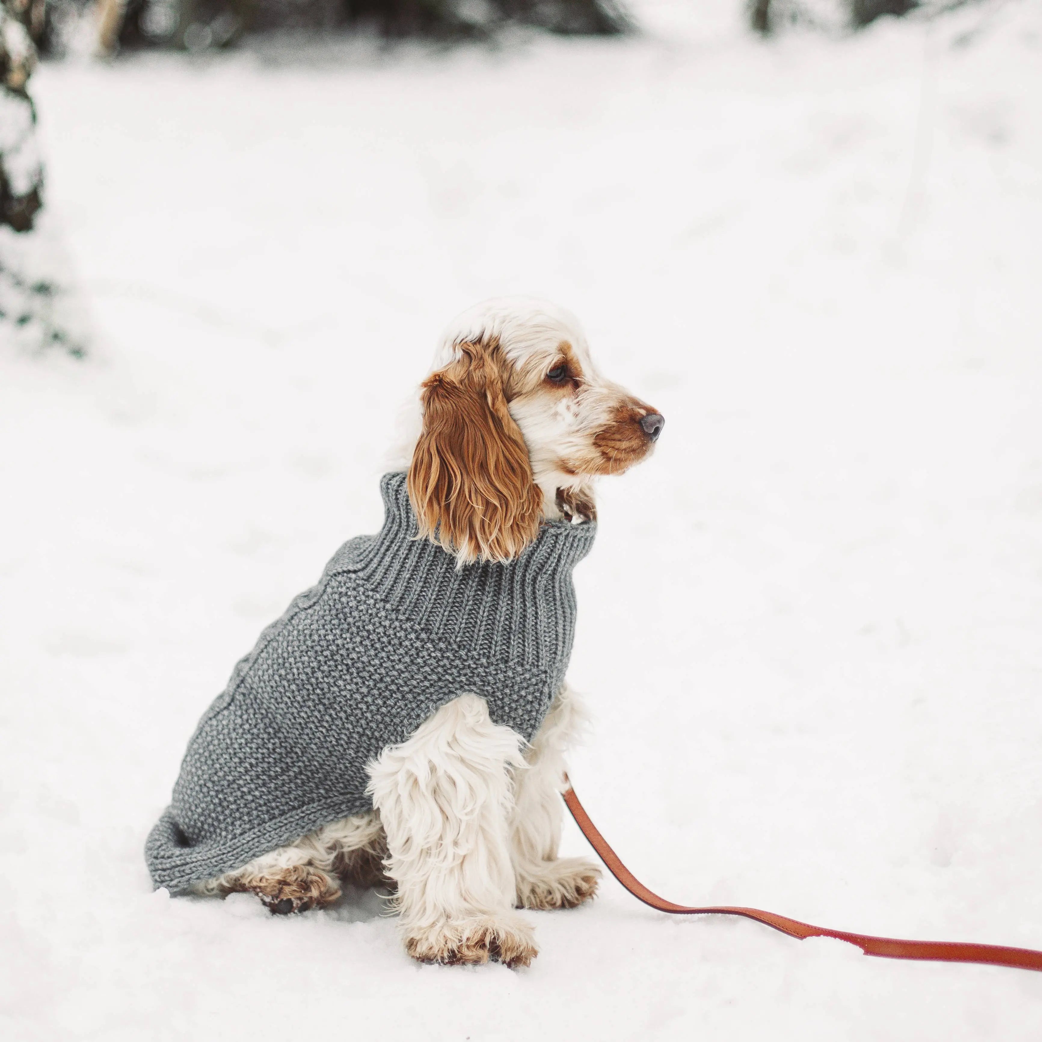 Rummelig frugtbart hed Cloud7 hundesweater, Oslo, beige – Luksushund