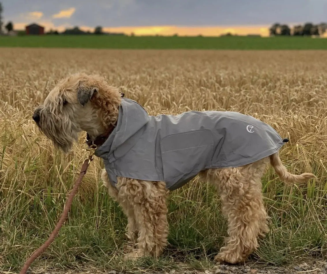 Cloud7 regnfrakke hund, reflective – Luksushund