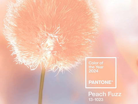 Pantone Trendfarbe 2024