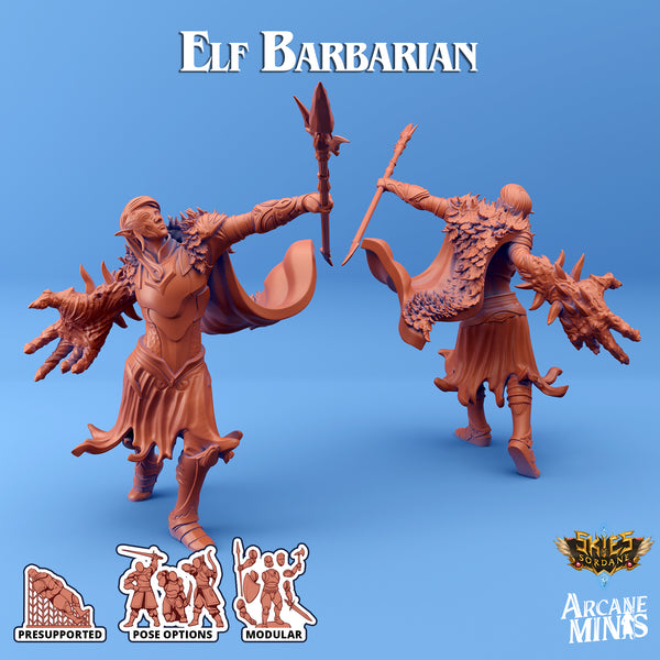 Sia the Elf Barbarian Nerikson Wargaming D&D Dnd 