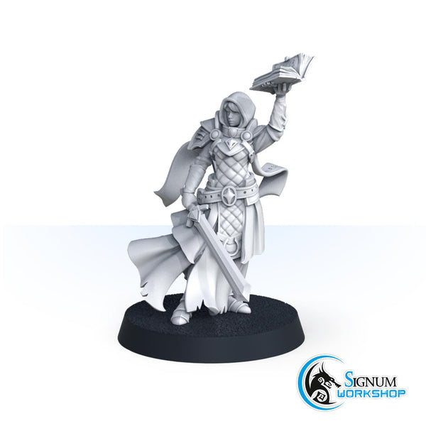 - by Angel Fighter Studios Paladin - Miniatures Atlas