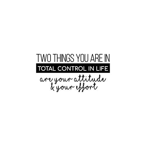 Two Things You are in Total Control in Life Attitude Effort - 13