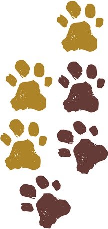 6 pcs Paw Prints Pawprints Tracks Cub Disney The Lion King Movie | WallDecals.com