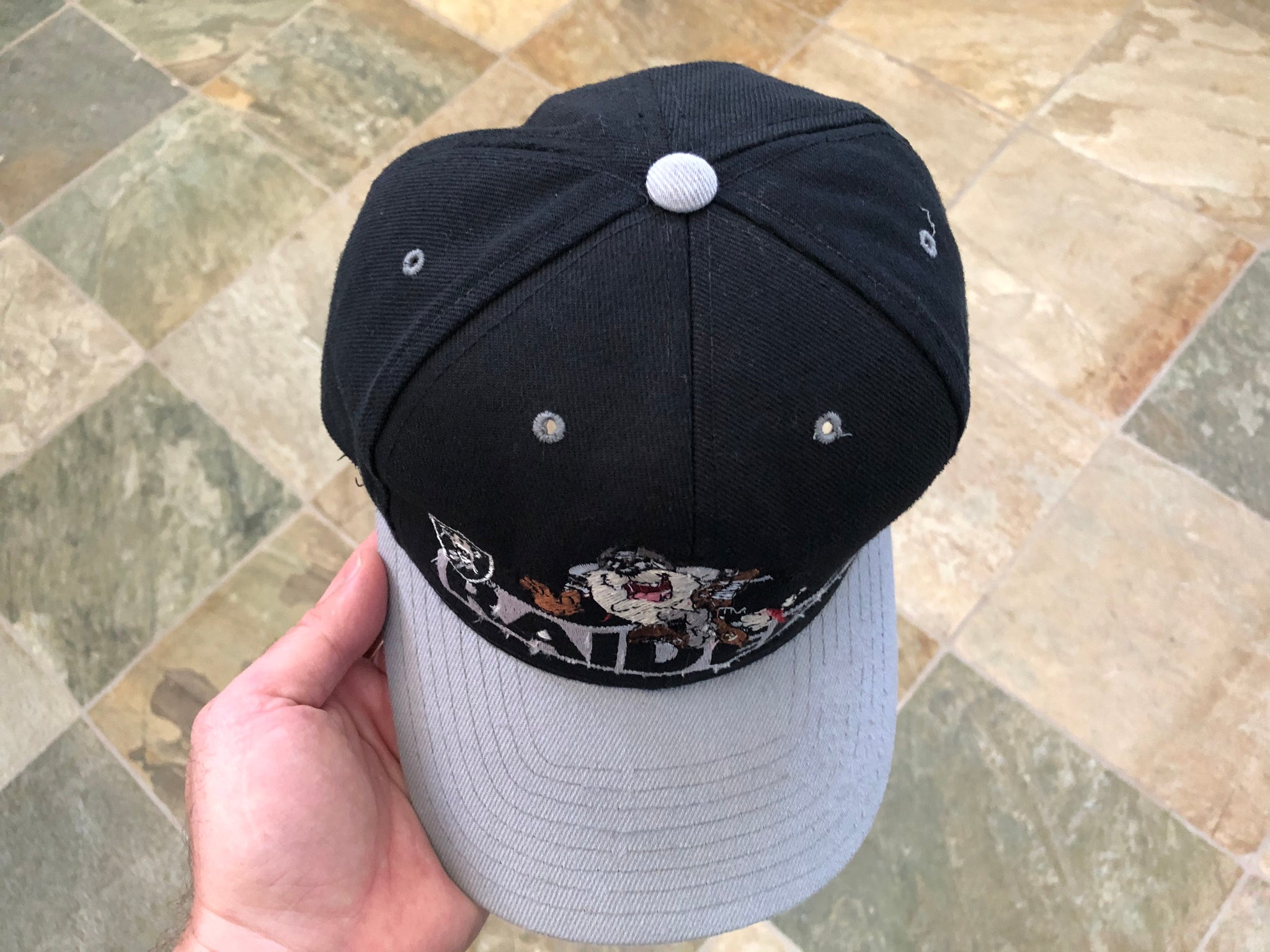 Vintage Oakland Raiders Taz Looney Tunes Snapback Football Hat – Stuck ...