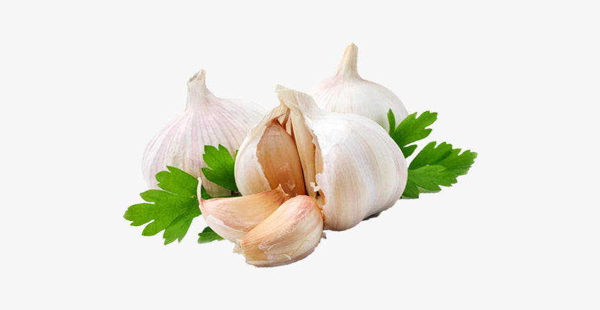 Garlic