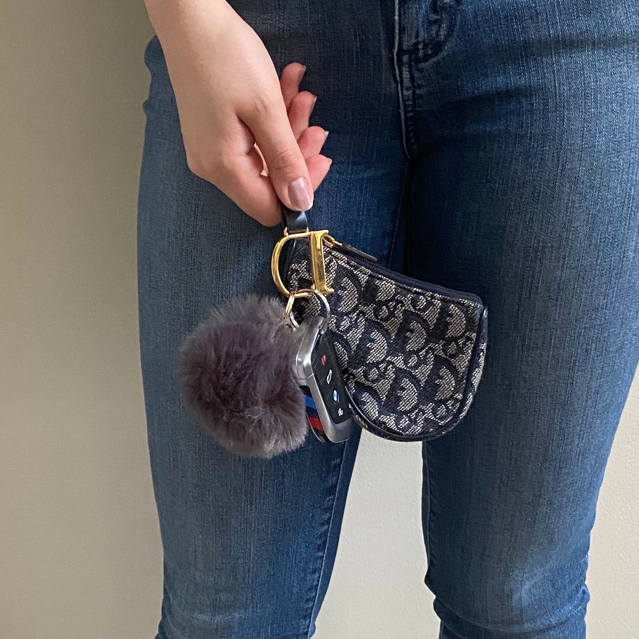 dior saddle coin purse