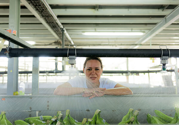 Kadalys Founder Shirley Billot standing in front of a row of bananas at a banana production facility