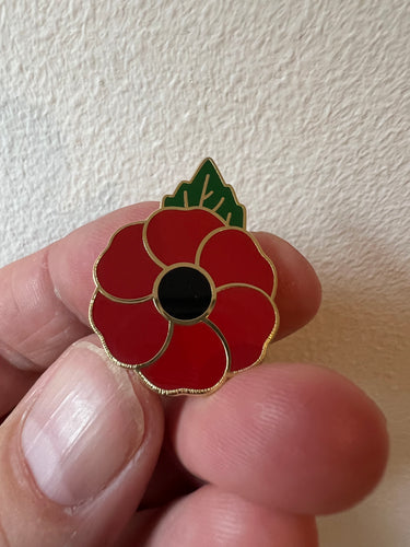 Remembrance Poppy Seeds (approx 400 seeds per packet) – Ancre Somme  Association Scotland SCIO (Registered charity SC048597)