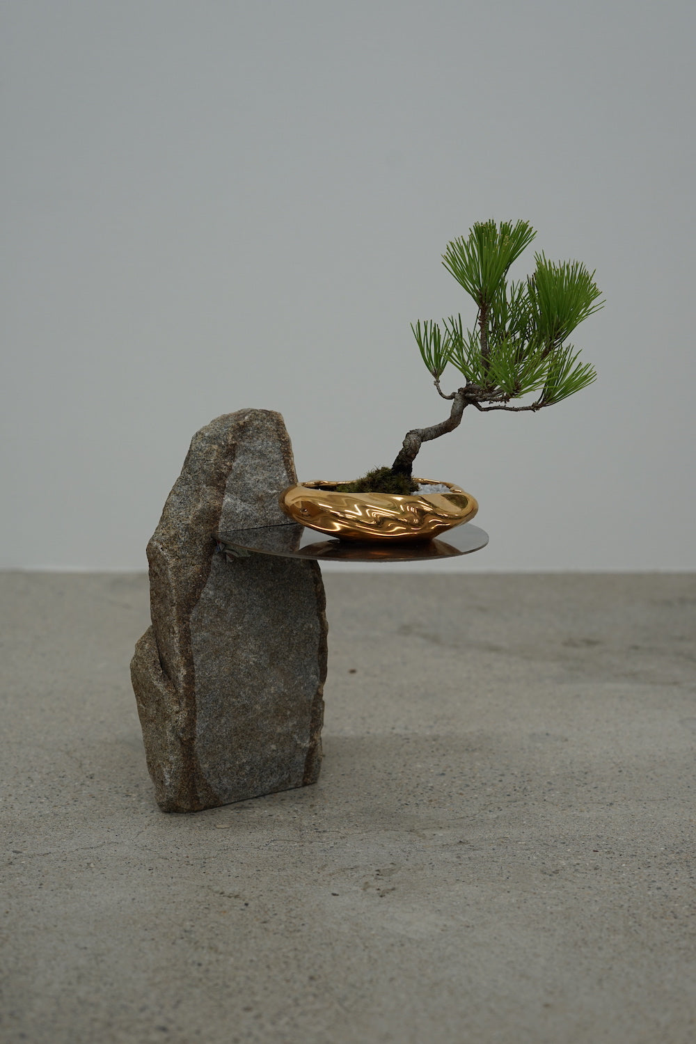 MODERN BONSAI POPUP KOKON