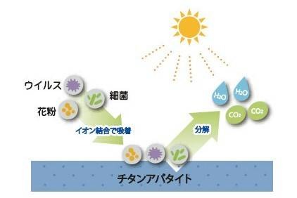 菌やウィルス、花粉を吸着、分解する仕組み