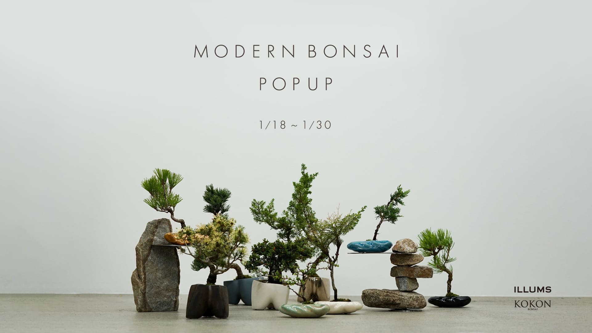 MODERN BONSAI POPUP at ILLUMS AOYAMA