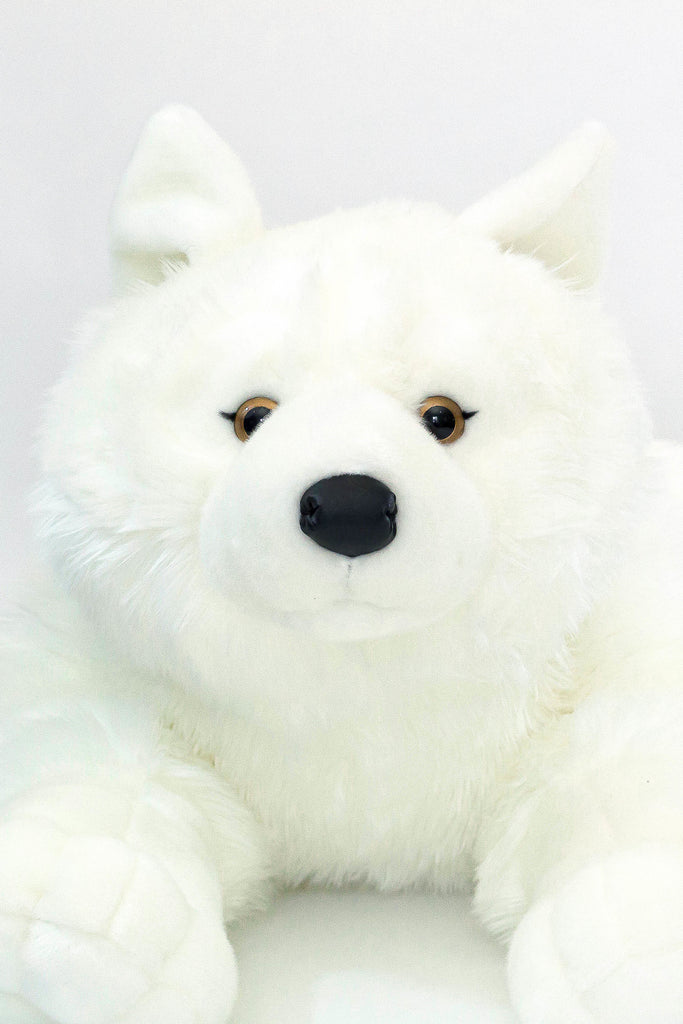 white wolf teddy