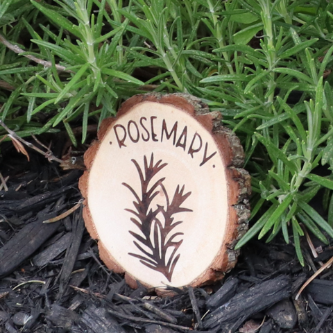Wood Burned Coasters with Scorch Marker - Amy Latta Creations