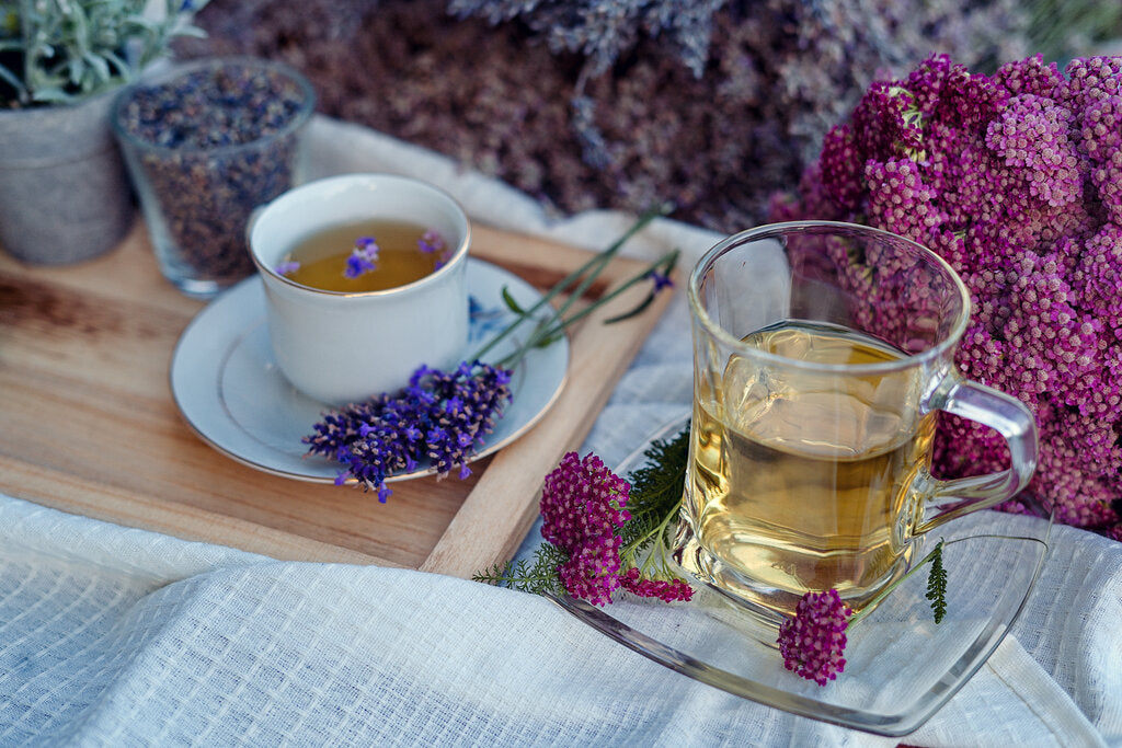 Lavender Tea Benefits + Simple Brewing Recipe