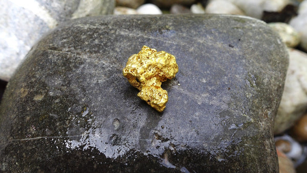 Real solid gold nugget
