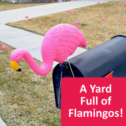 Filling a yard with flamingos