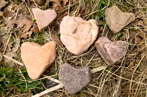 Find heart-shaped rocks or other rocks in a treasure hunt