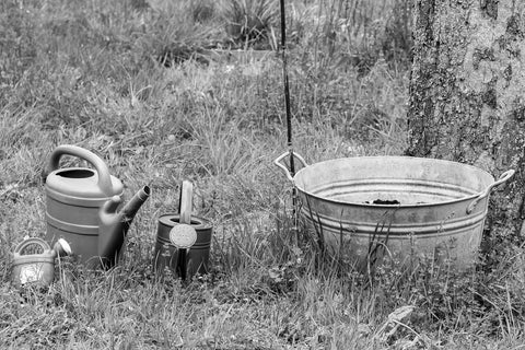 Black and white photo of an old fashion bath tub outdoors