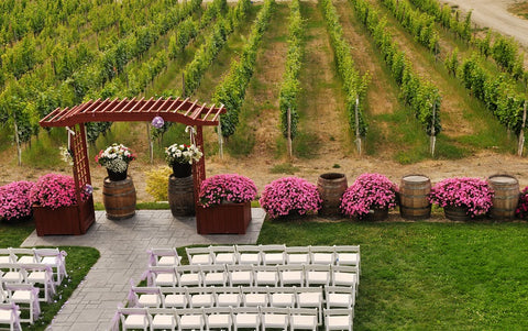 Destination wedding ideas; getting married at a winery